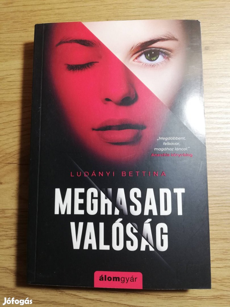 Ludányi Bettina : Meghasadt valóság 