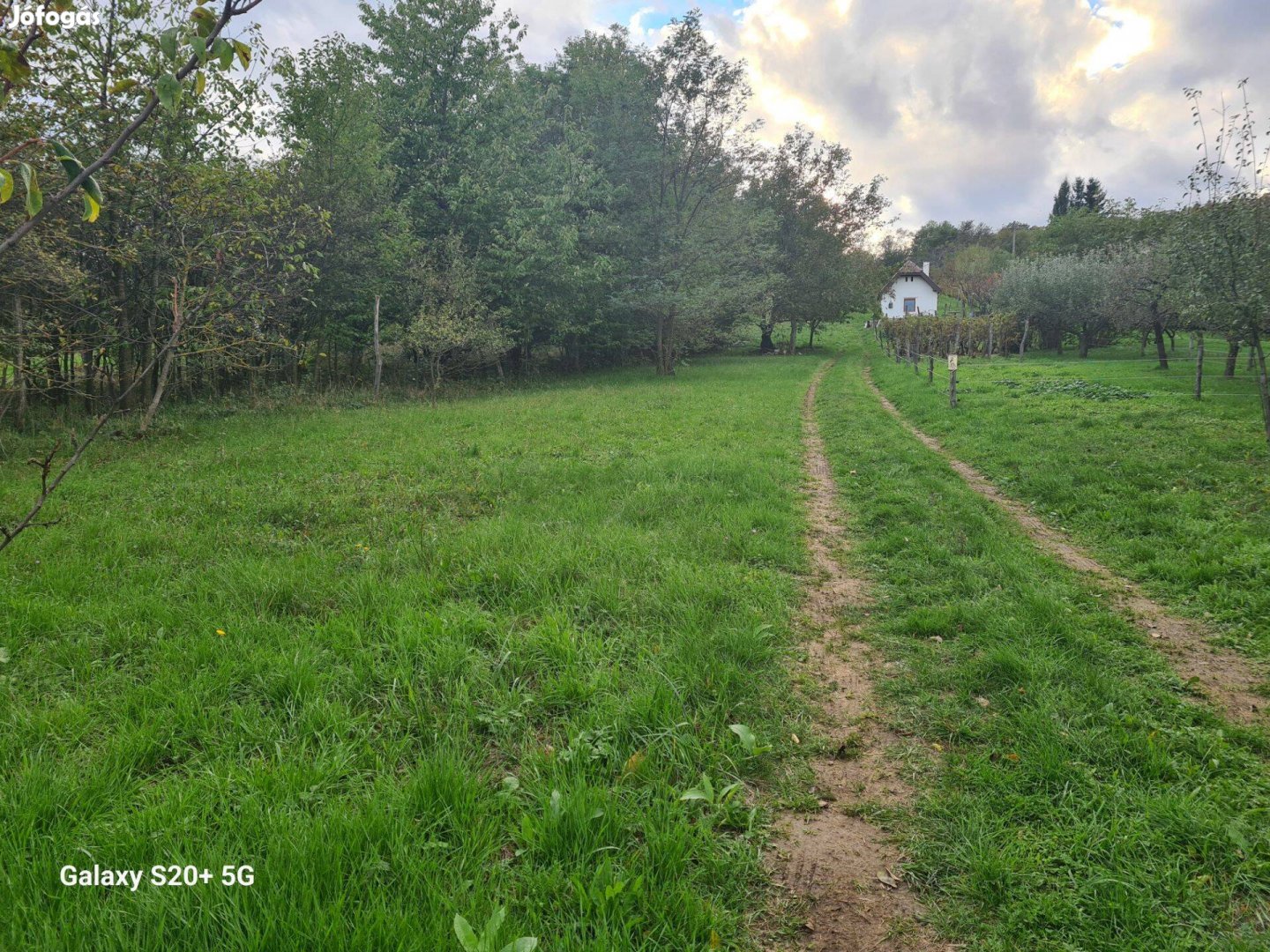 Lukácsháza Csömötei hegyen panorámás telek