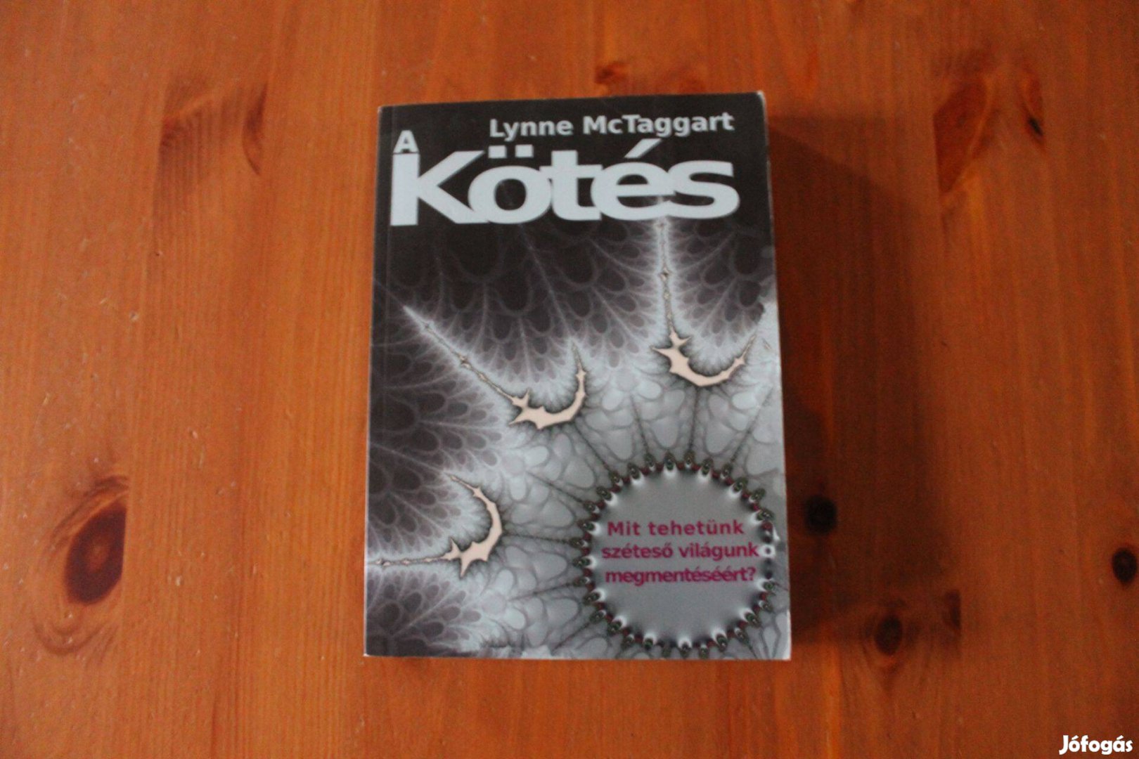 Lynne Mctaggart - A kötés