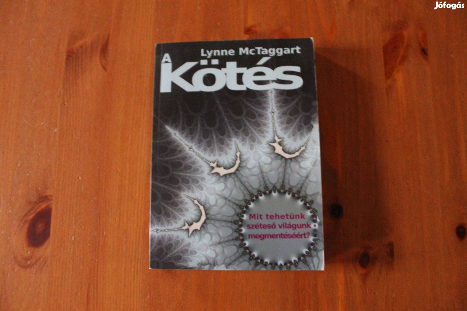 Lynne Mctaggart - A kötés