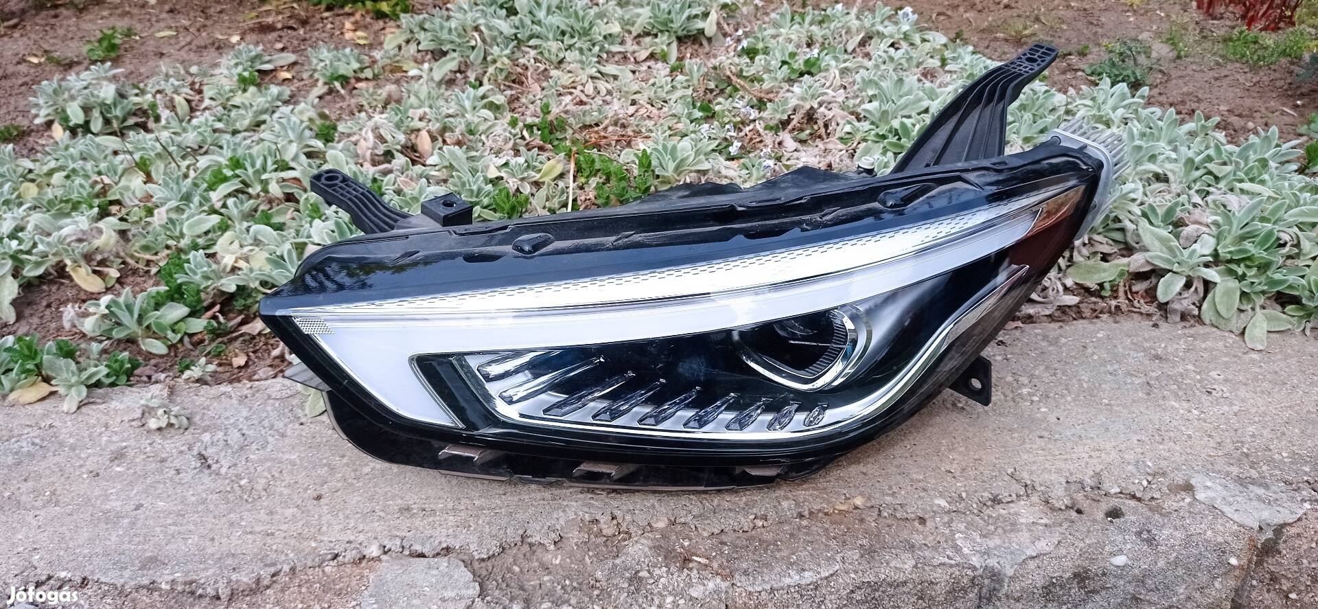 MG -zs fenyszoro lampa.