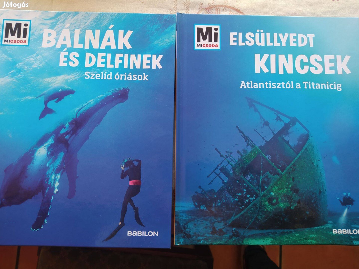 MI Micsoda Bálnák és delfinekElsüllyedt kincsek