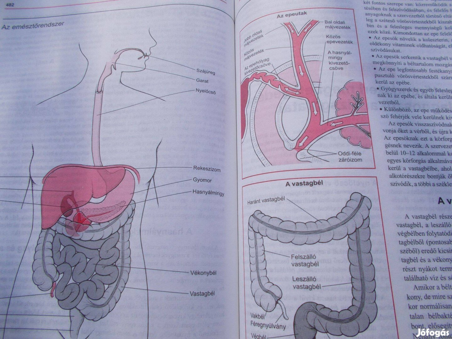 MSD orvosi kézikönyv 1512 oldal eladó