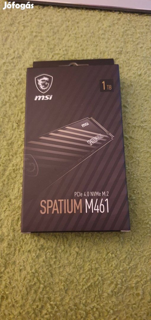 MSI spatium M461 1TB SSD