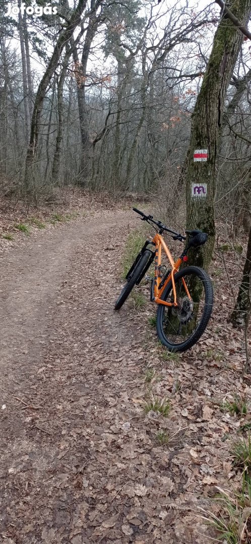MTB Trek X-Caliber 7
