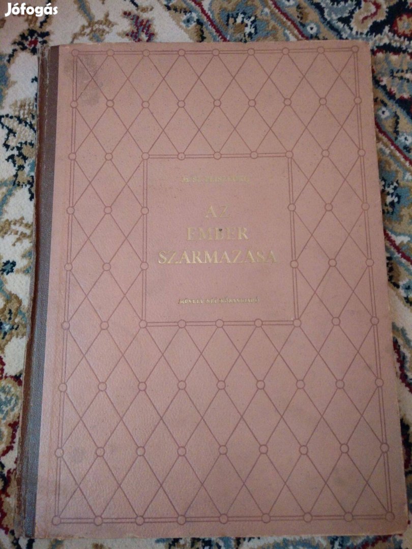 M. Sz. Pliszeckij - Az ember származása