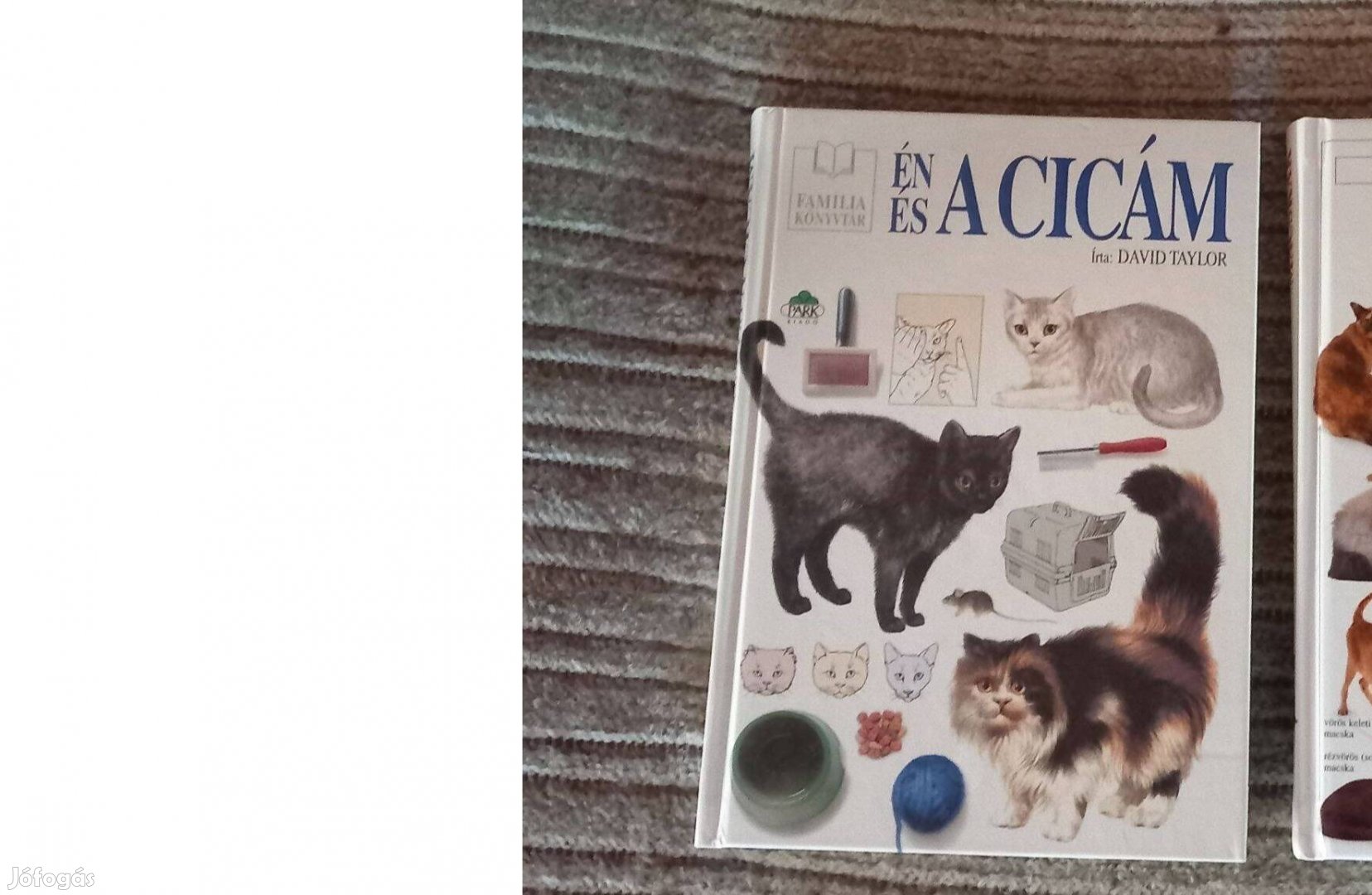 Macska, cica képes könyv a fajtákról, tartásukról 21x15 cm