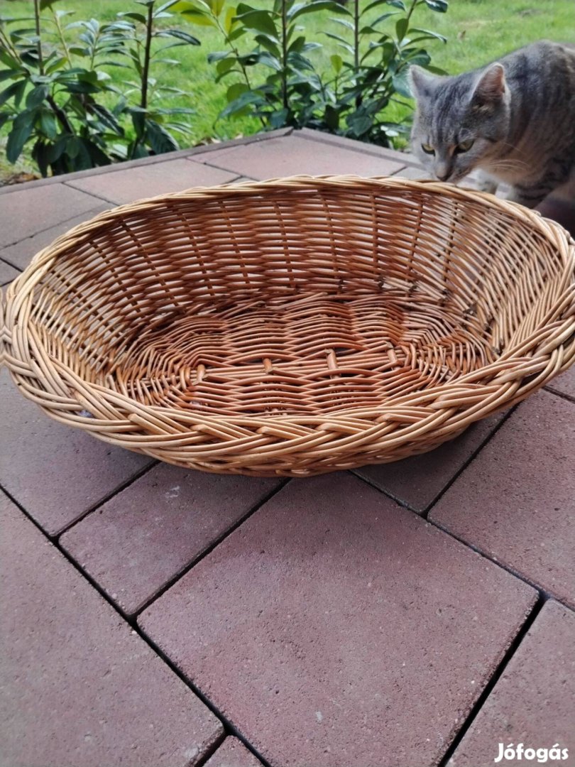 Macska kosár