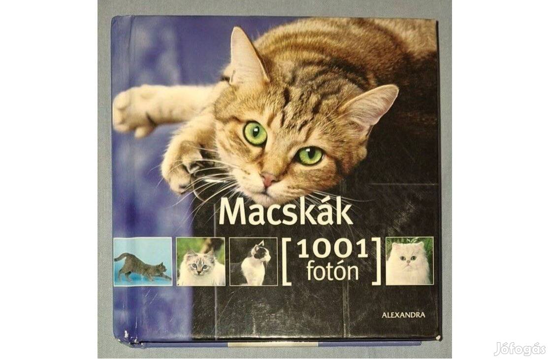 Macskák 1001 fotóval,nagyon jó állapotú könyv