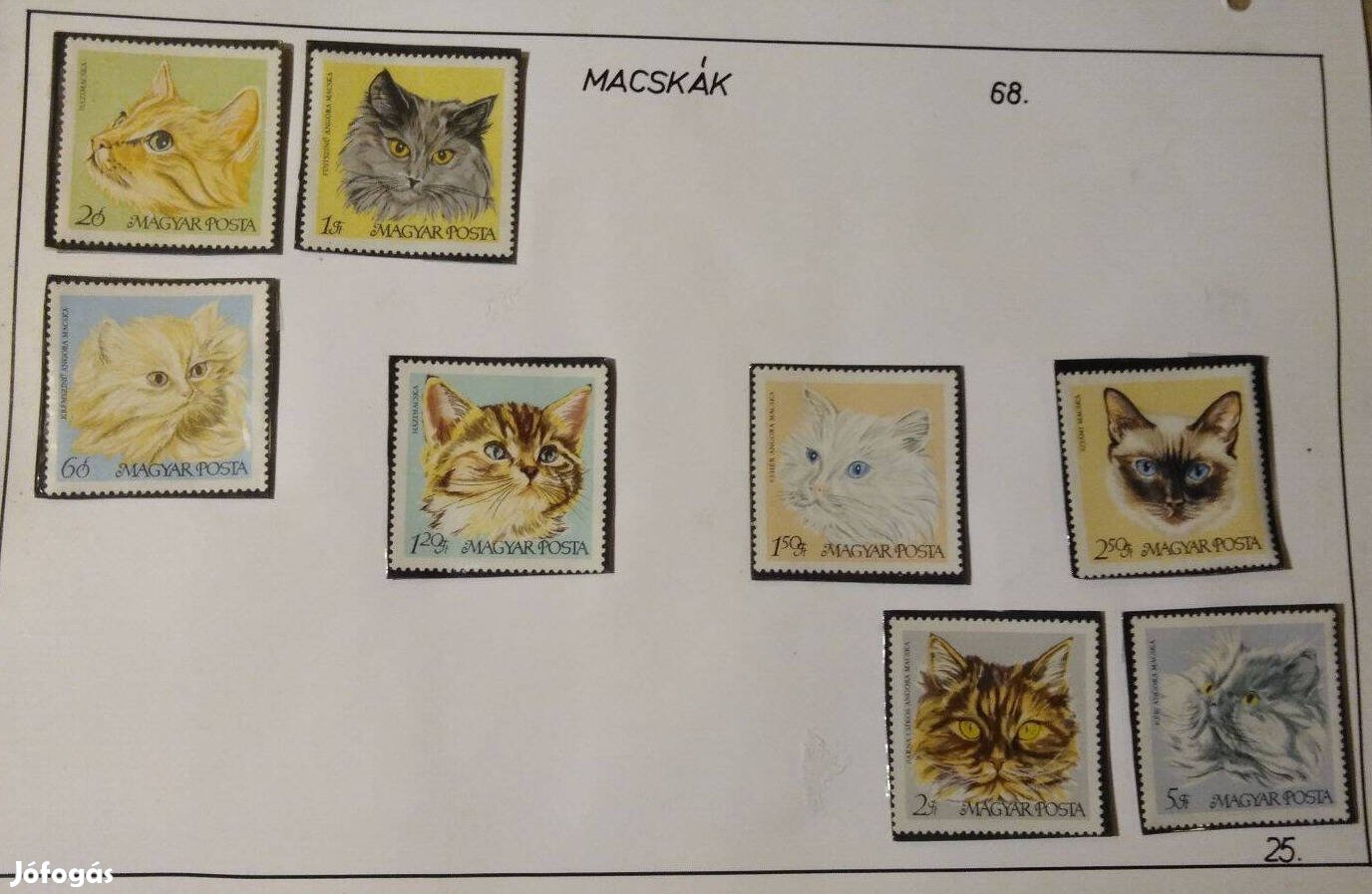Macskák - Bélyeg sorozat 1968