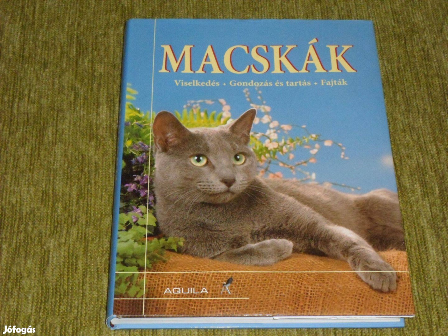 Macskák - Viselkedés, gondozás és tartás, fajták