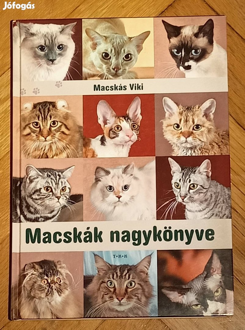 Macskák nagykönyve