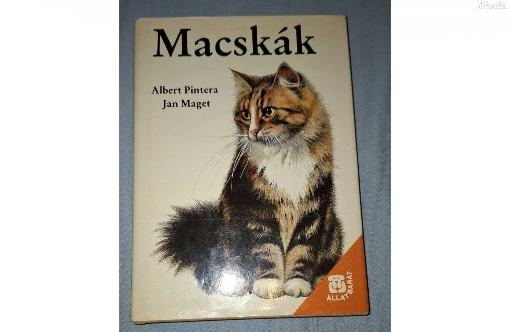 Macskákról szóló könyv