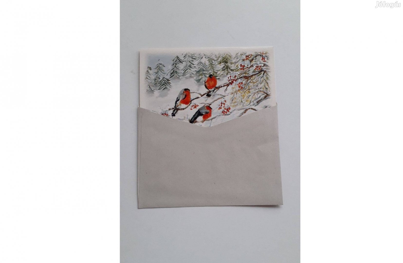 Madár mintás kihajtható tiszta képeslap borítékkal