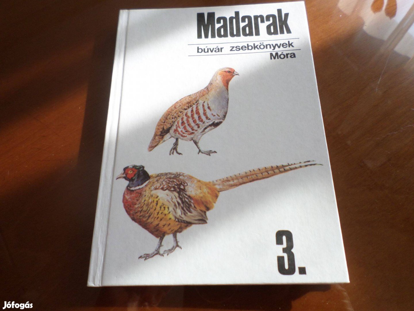 Madarak 3. búvár zsebkönyvek, 1991 Gyermekkönyv