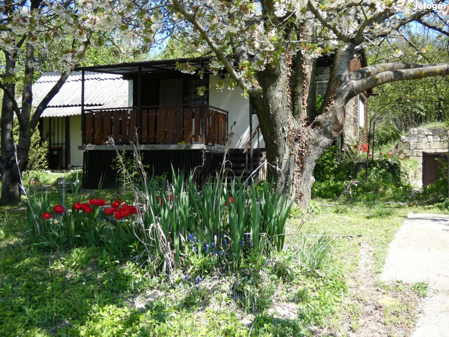 Madárcsicsergés, Sóskút Öreghegy