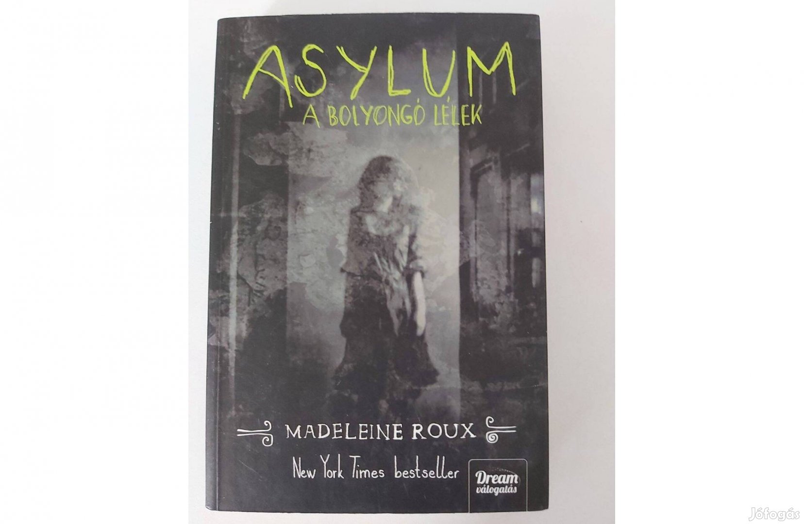 Madeleine Roux: Asylum - A bolyongó lélek