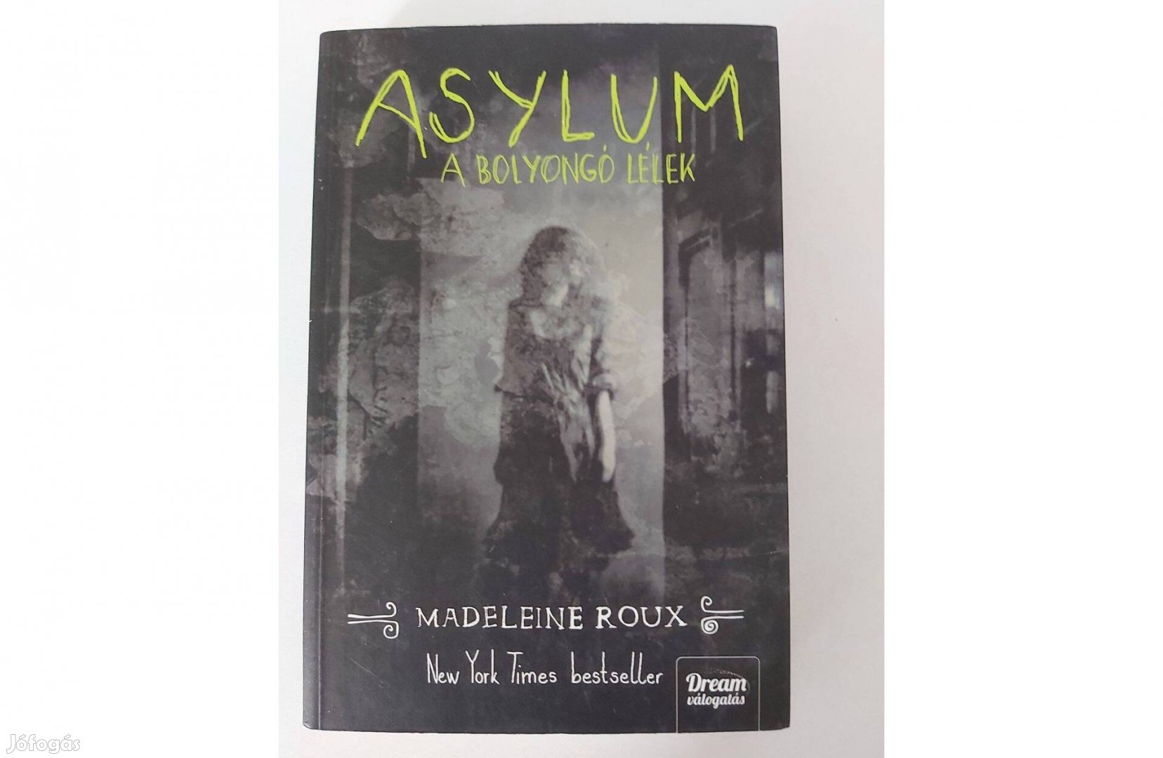 Madeleine Roux: Asylum - A bolyongó lélek