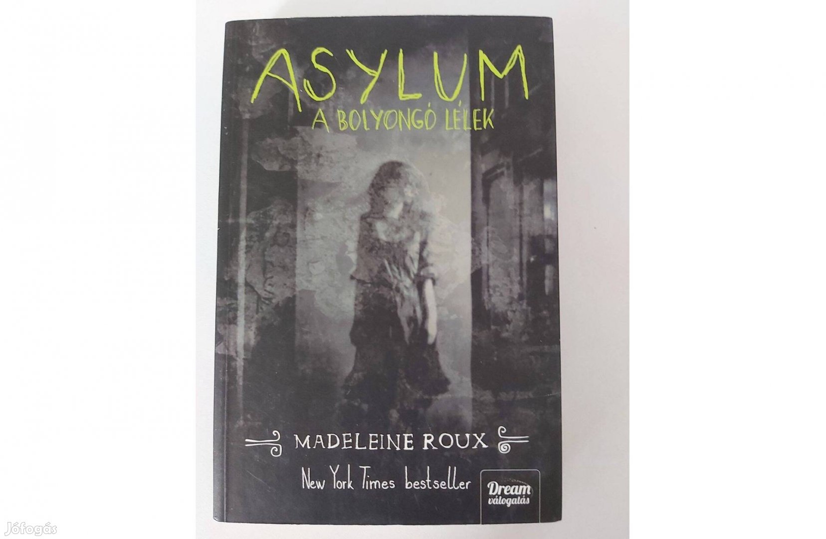 Madeleine Roux: Asylum - A bolyongó lélek