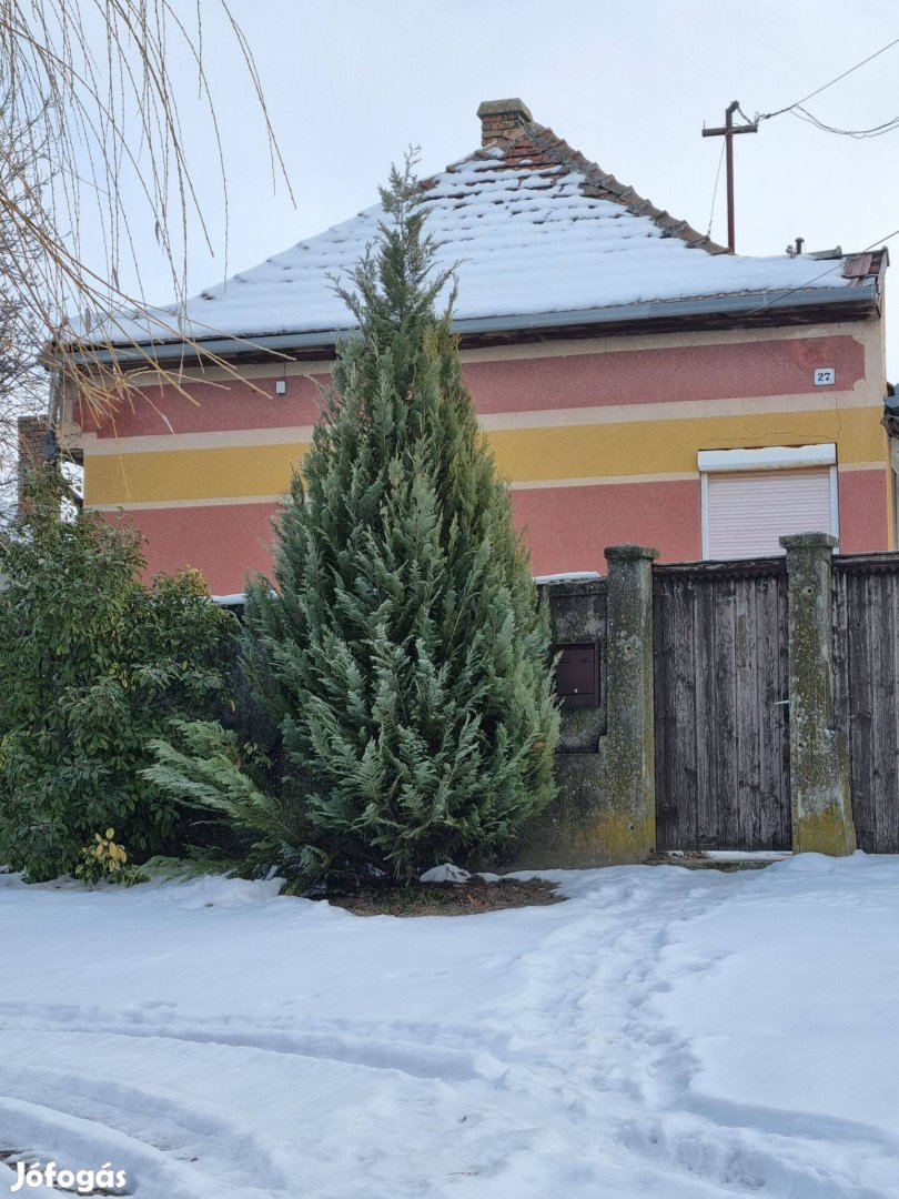 Madocsa eladó ház. Gazdálkodásra alkalmas porta nagy