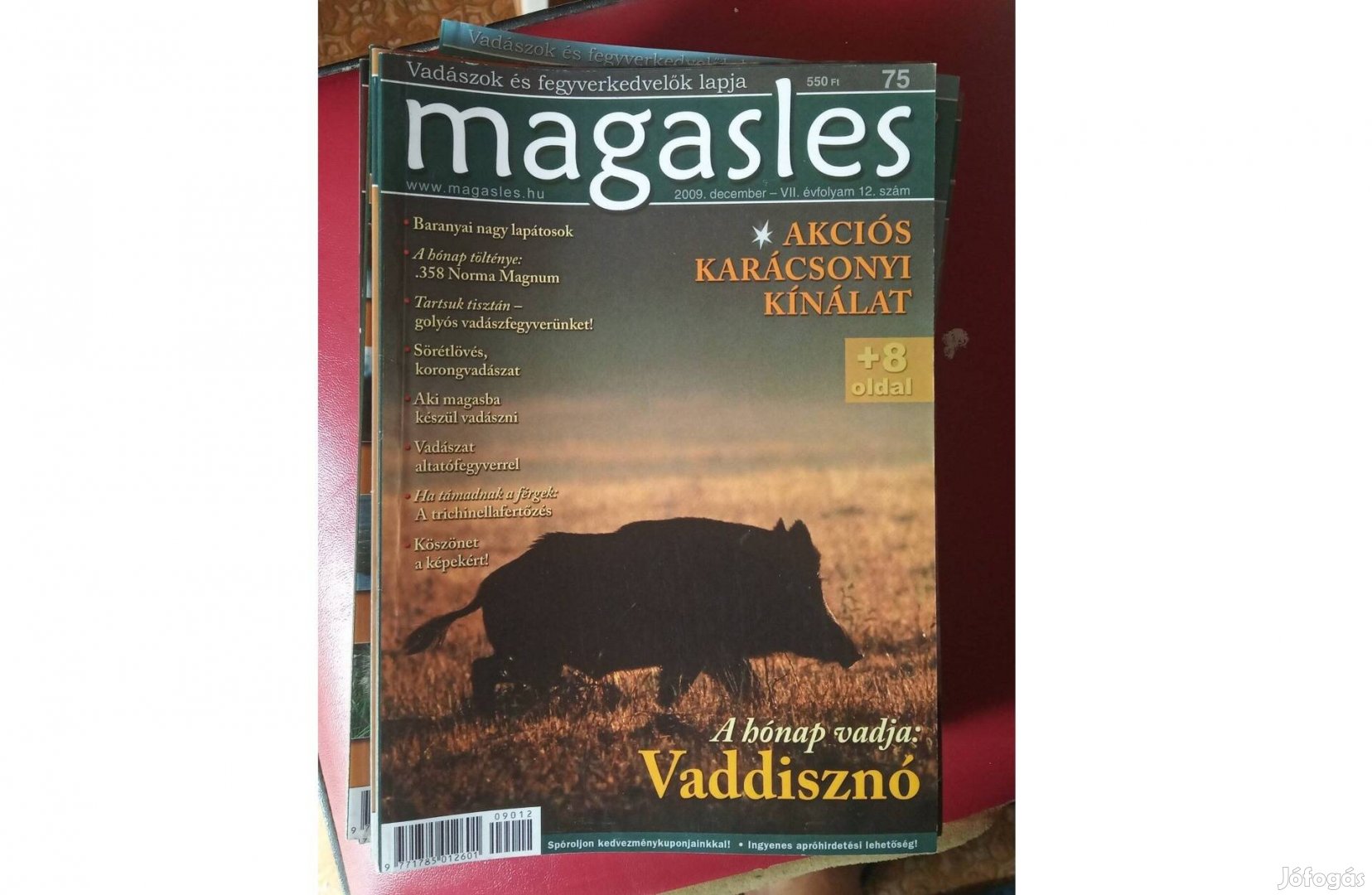 Magasles vadászok és fegyverkedvelők magazinja (közel 30 darab)