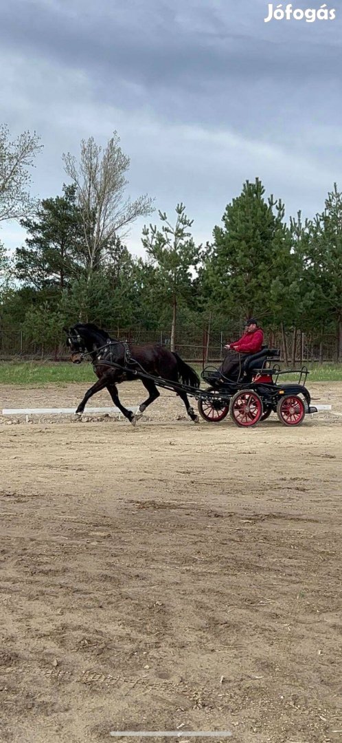 Magyar Sportló