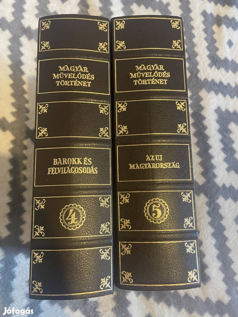 Magyar művelődés történet 4-5