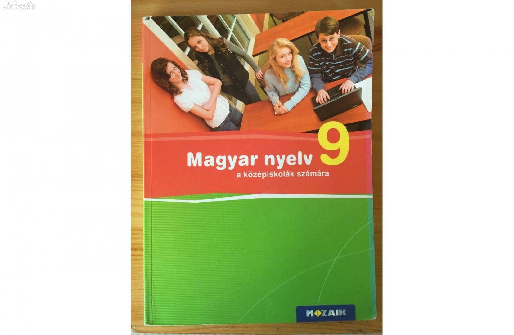Magyar nyelv 9. (Mozaik)