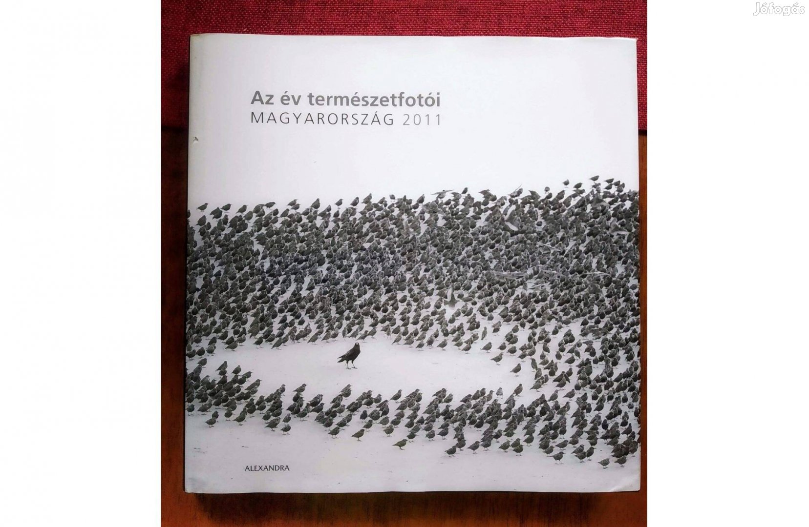 Magyarország 2011Az év természetfotói Sok Mást Is Hirdetek