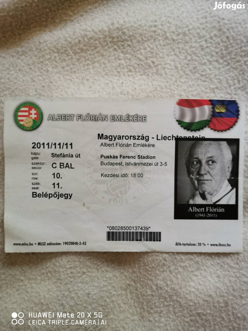 Magyarország Liechtenstein Belépőjegy 2011