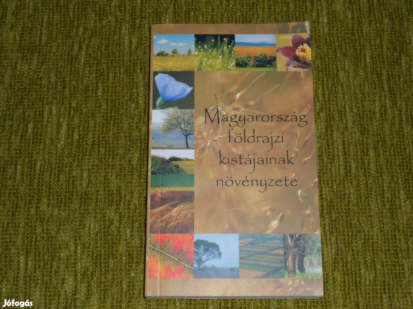 Magyarország földrajzi kistájainak növényzete