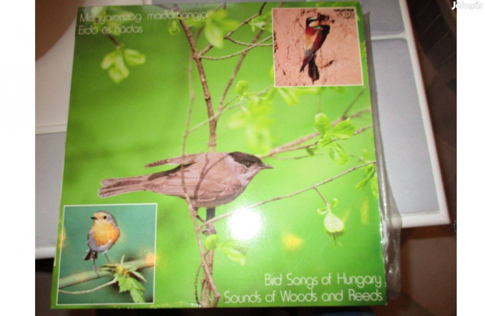 Magyarország madárhangjai bakelit hanglemez eladó