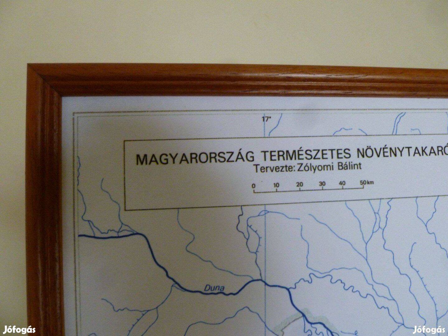 Magyarország természetes növénytakarója térkép