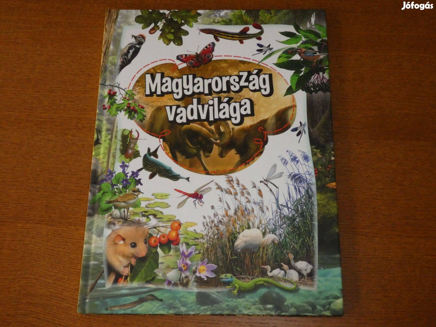 Magyarország vadvilága c. könyv - Bagoly Ilona