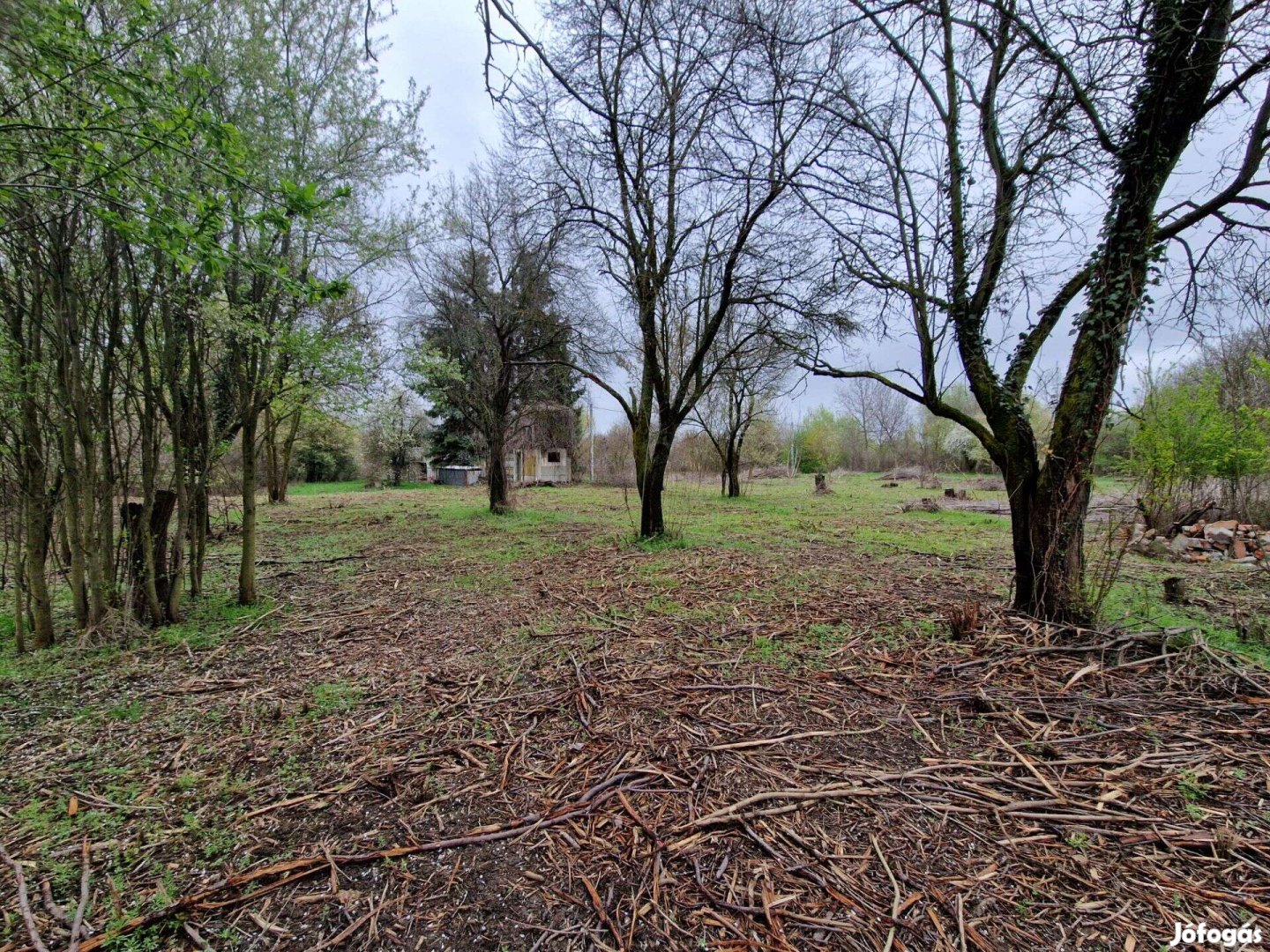 Makói marosparti telkek eladók!