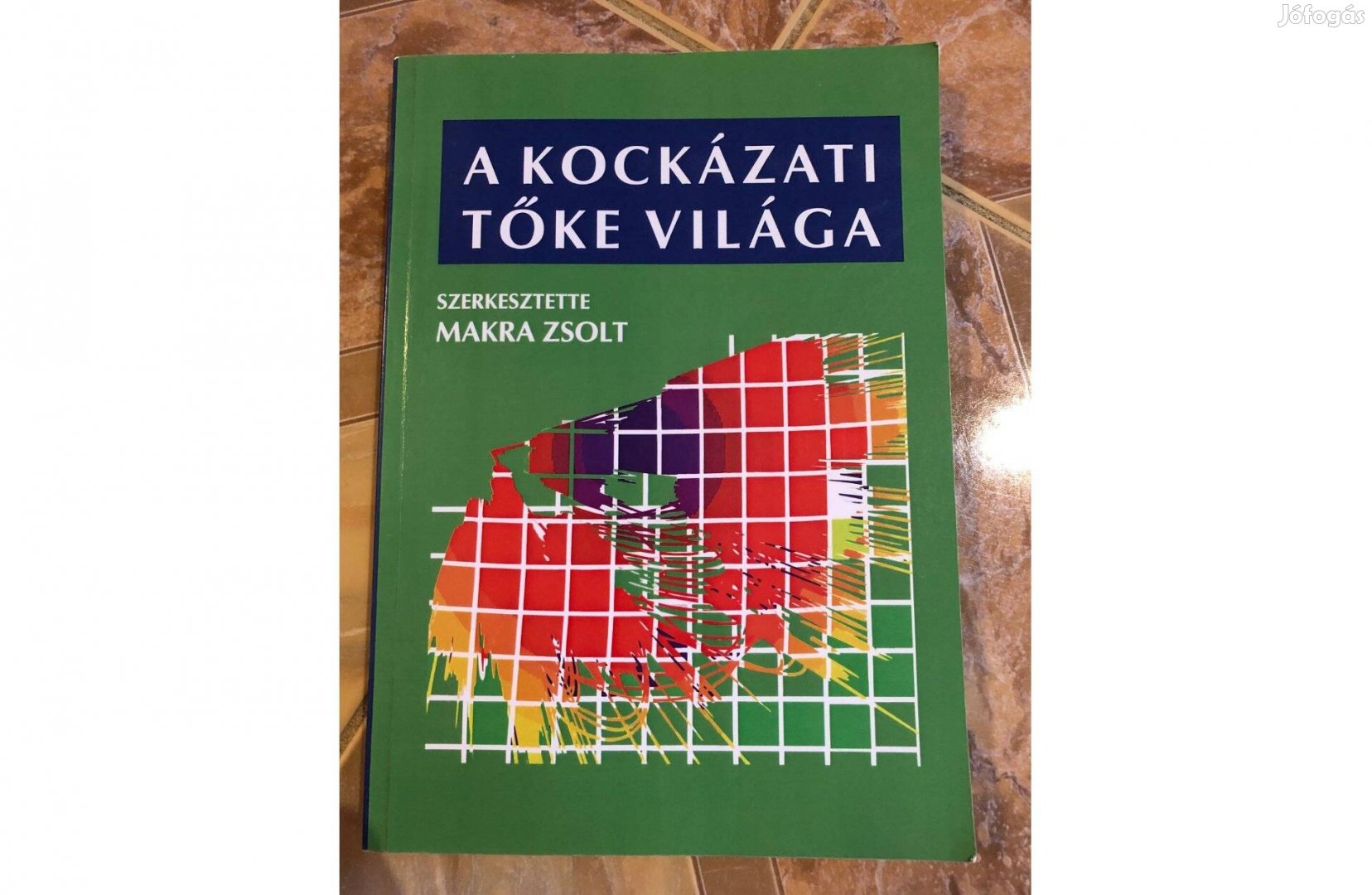 Makra Zsolt szerk: A kockázati tőke világa