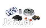 Malossi 2000 CVT variátor Malossi Peugeot Speedfight / Trekker 100cc 1