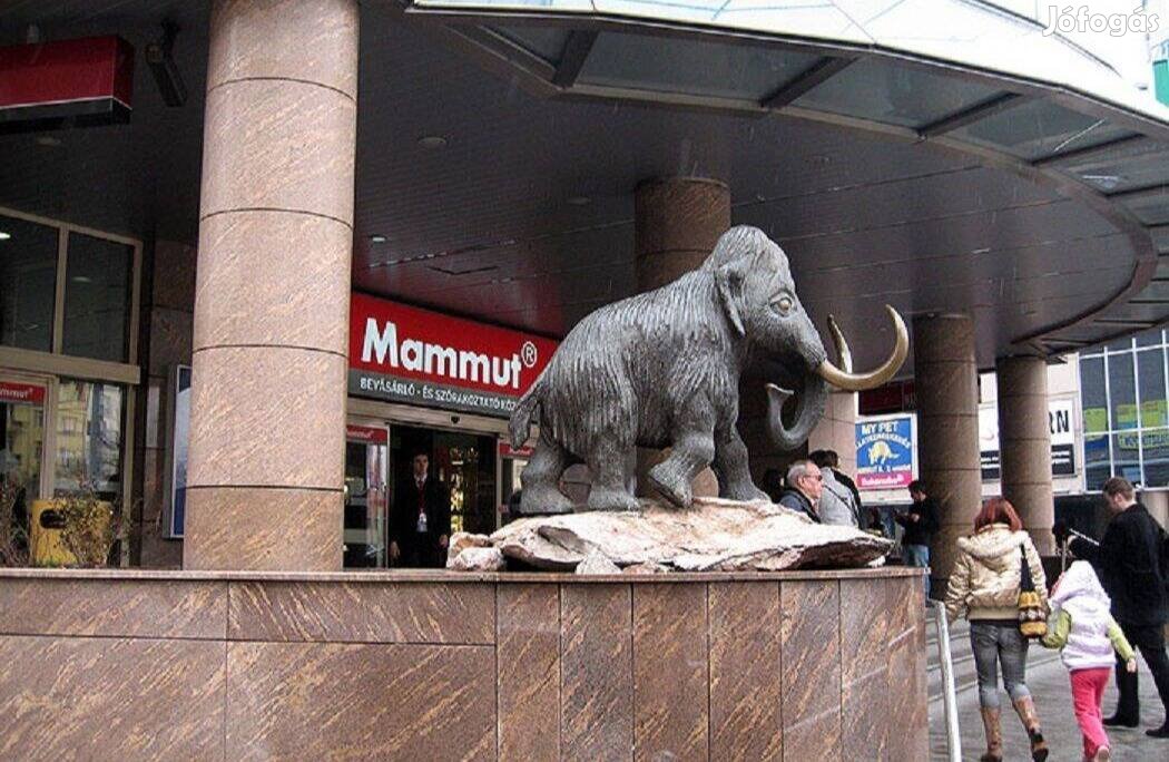 Mammut 1 bevásárló központban kiemelten forgalmas üzlethelyiség kiadó!