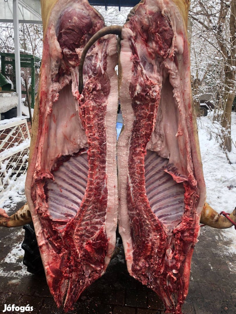 Mangalica Hungarikum hízó ea.konyhakészen is.Szállítom