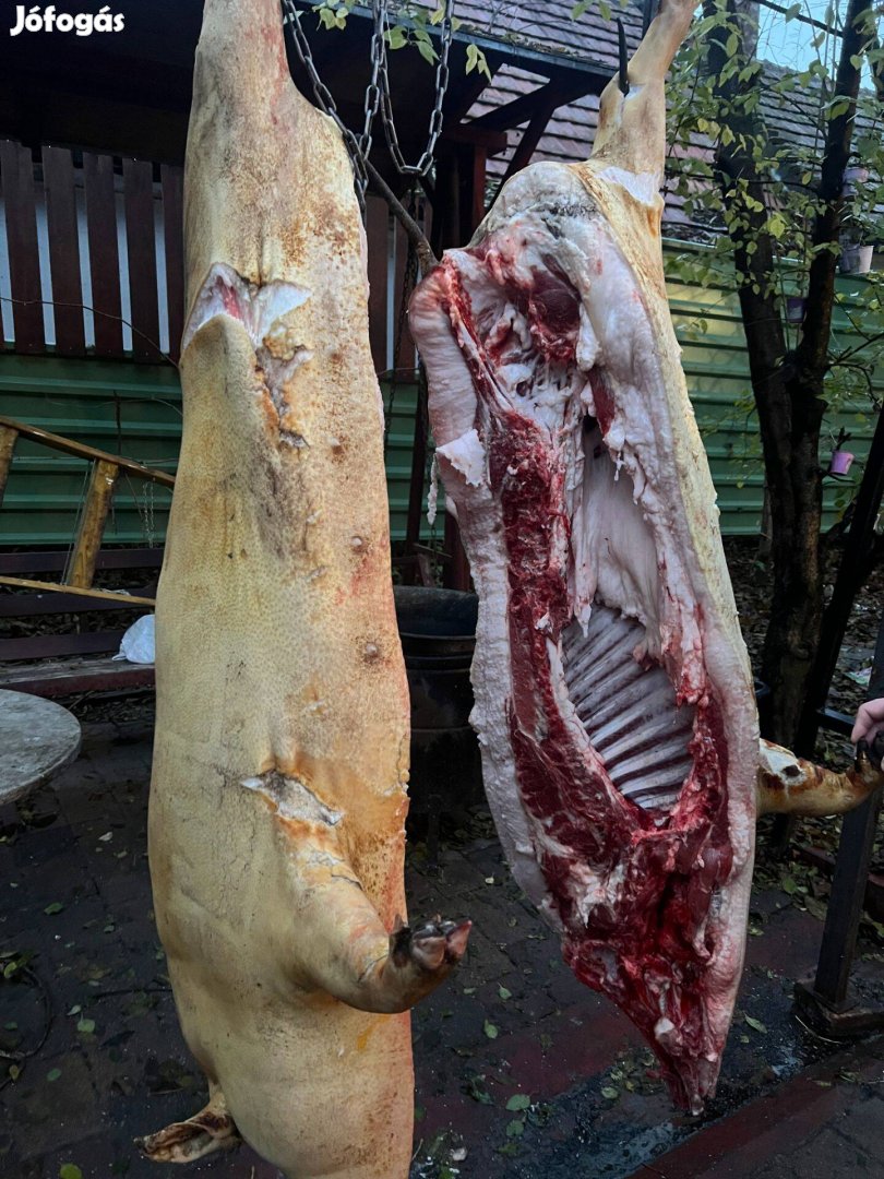 Mangalica hízó tanyasi tartásból ea. hasítva, konyhakészen ! Siófok