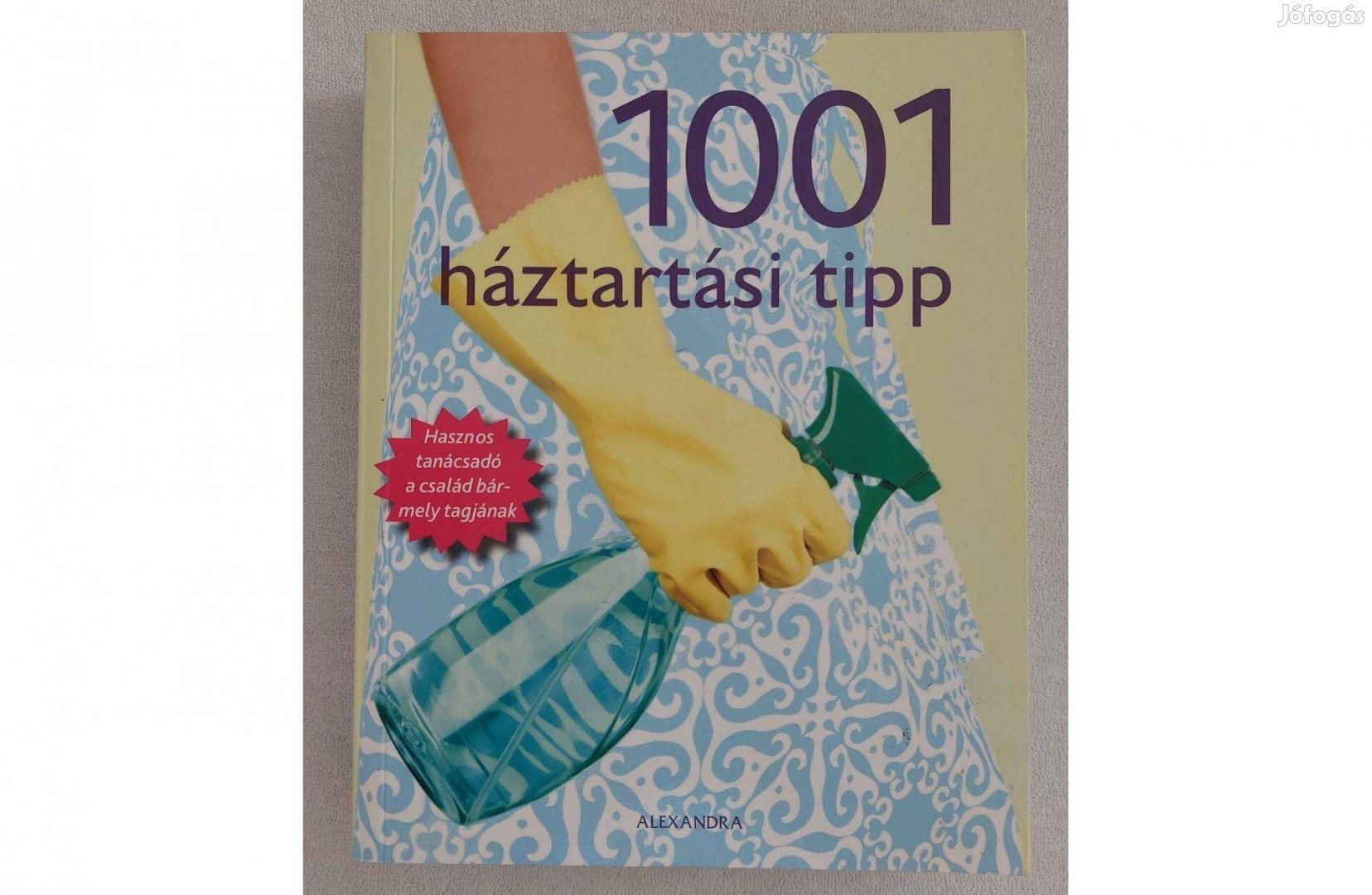 Manidipa Mandal: 1001 háztartási tipp