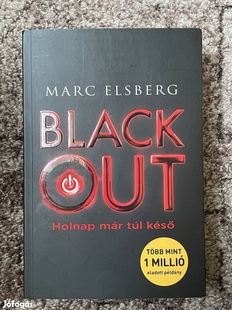 Marc Elsberg: Blackout