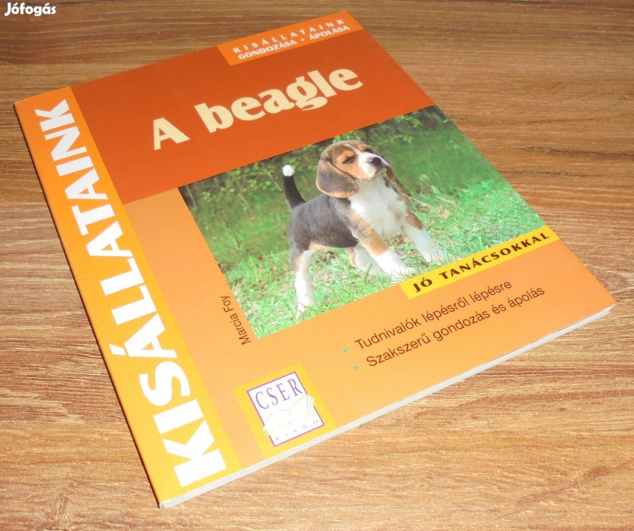 Marcia Foy A beagle - Kisállataink gondozása, ápolása