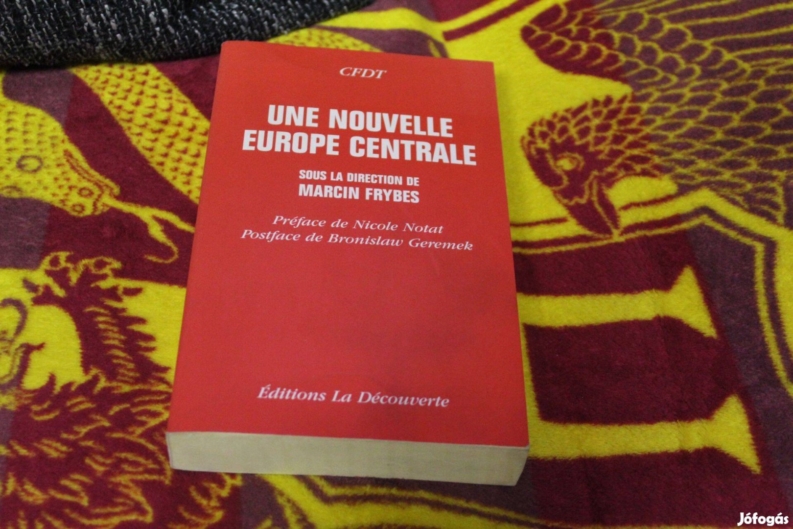 Marcin Frybes: Une nouvelle Europe Centrale-konyv franciaul