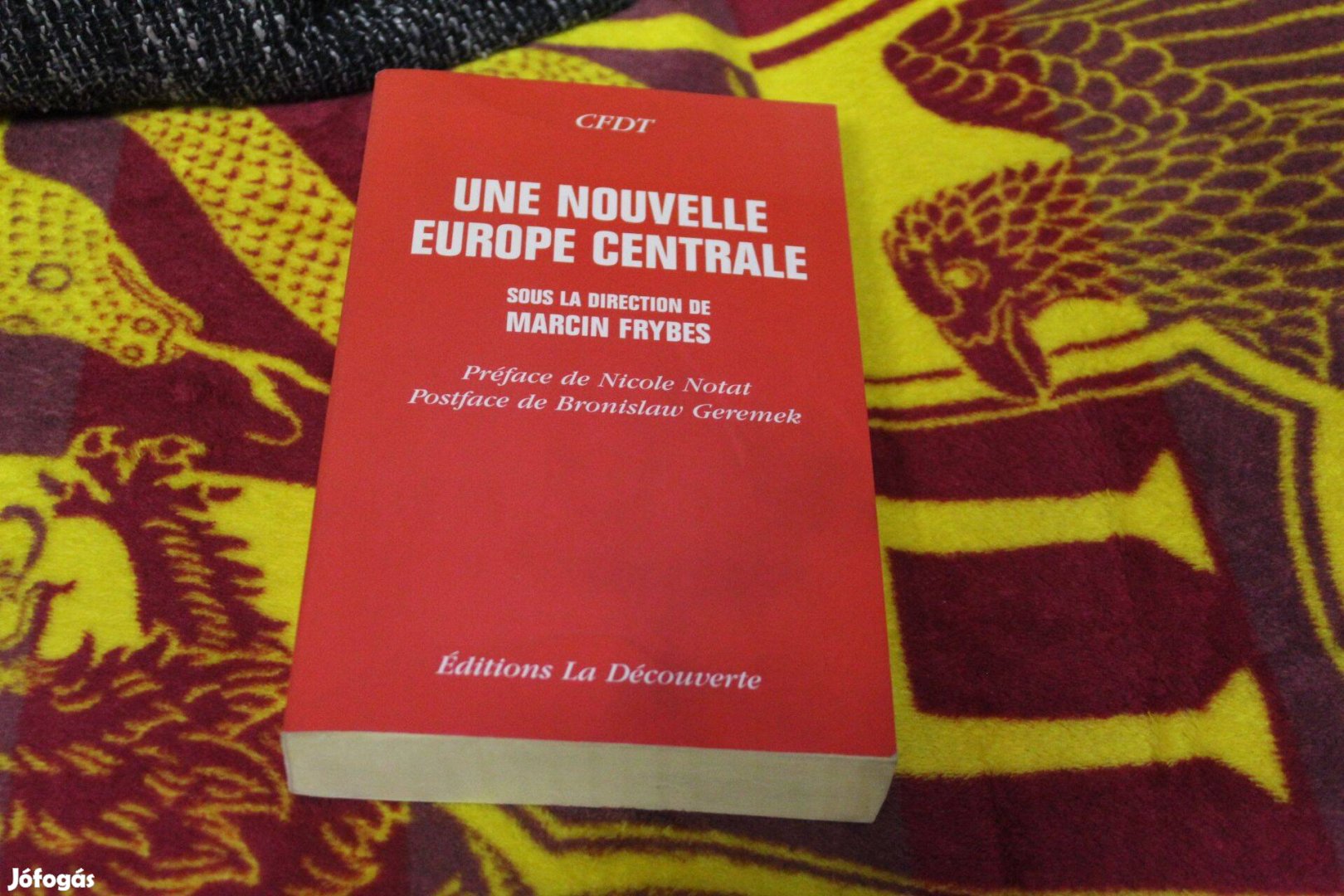 Marcin Frybes: Une nouvelle Europe Centrale-konyv franciaul