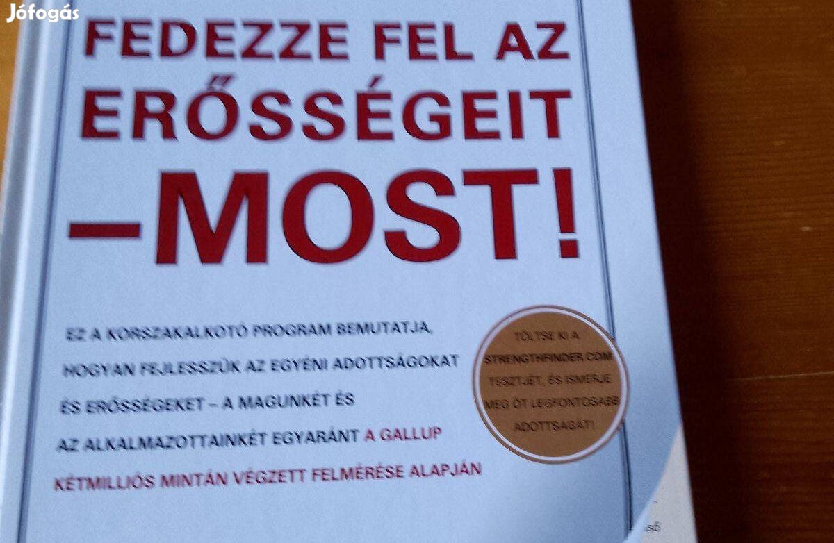 Marcus Buckingham Fedezze fel az erősségeit most / könyv