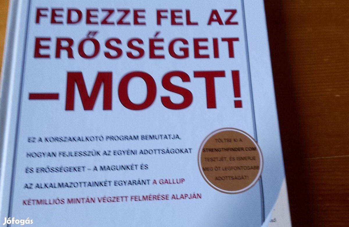 Marcus Buckingham Fedezze fel az erősségeit most / könyv Kétmilliós mi