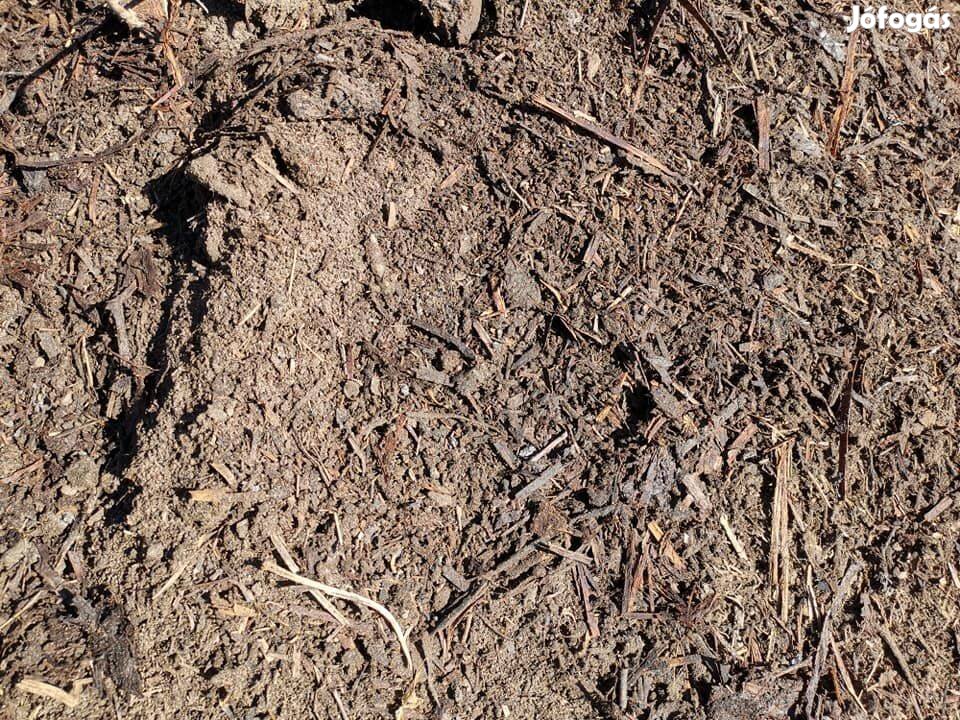 Marhatrágya eladó, vegyszermentes gazdaságból