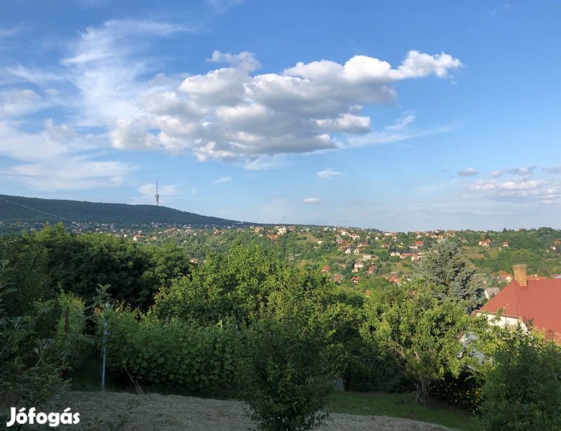 Mária dűlőben zártkerti hétvégi ház eladó!