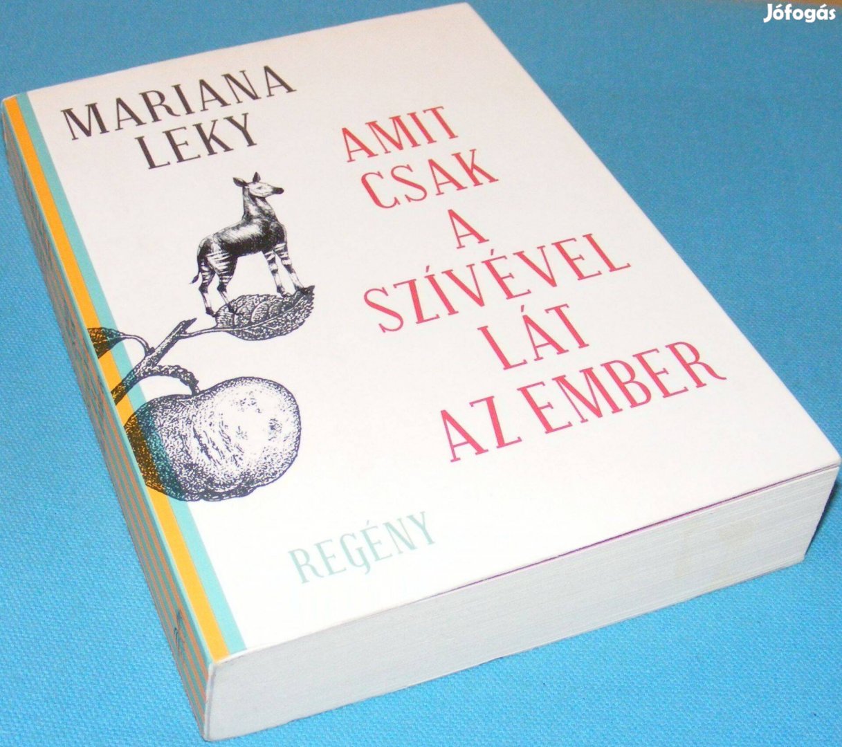 Mariana Leky Amit csak a szívével lát az ember